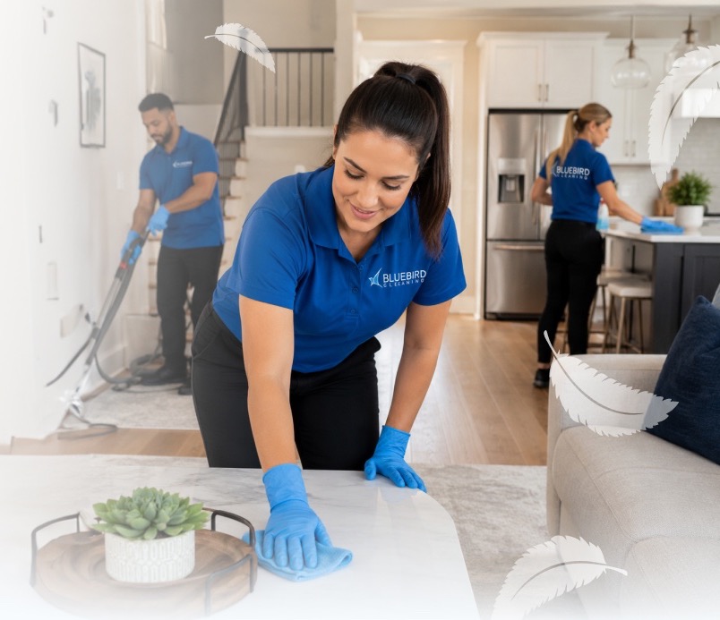 Bluebird Cleaning team at work